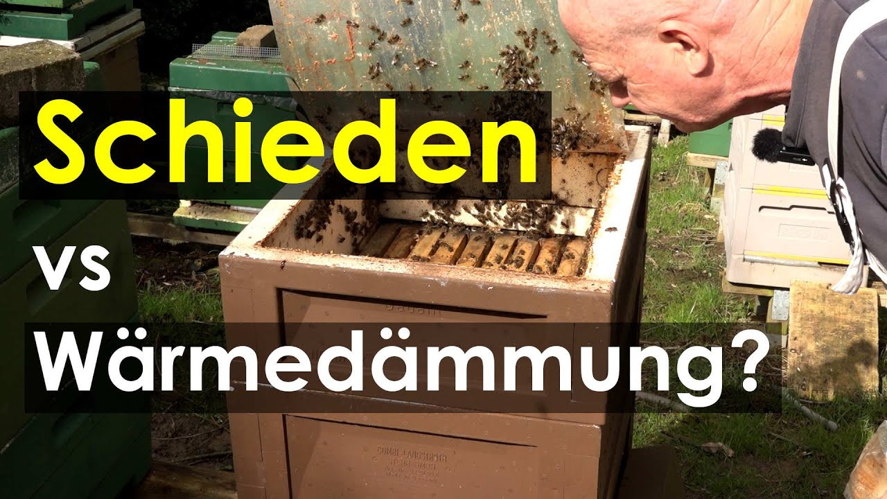 Jungimker-Tipp: Schieden oder W&auml;rmed&auml;mmung? Wie Bienen halten?
