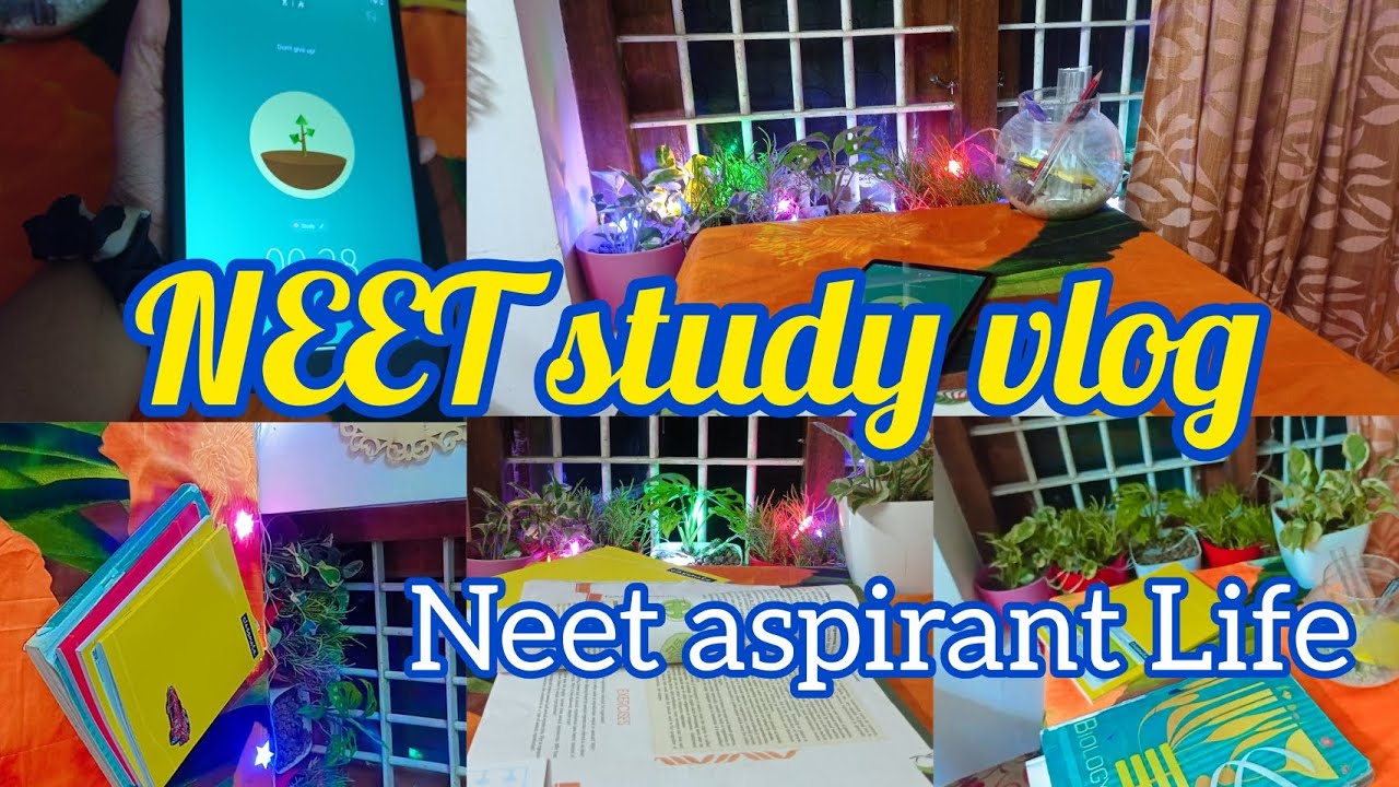 study vlog📝🇮🇳📗#neet #aiims #mbbs #neet2023strategy ||productive study