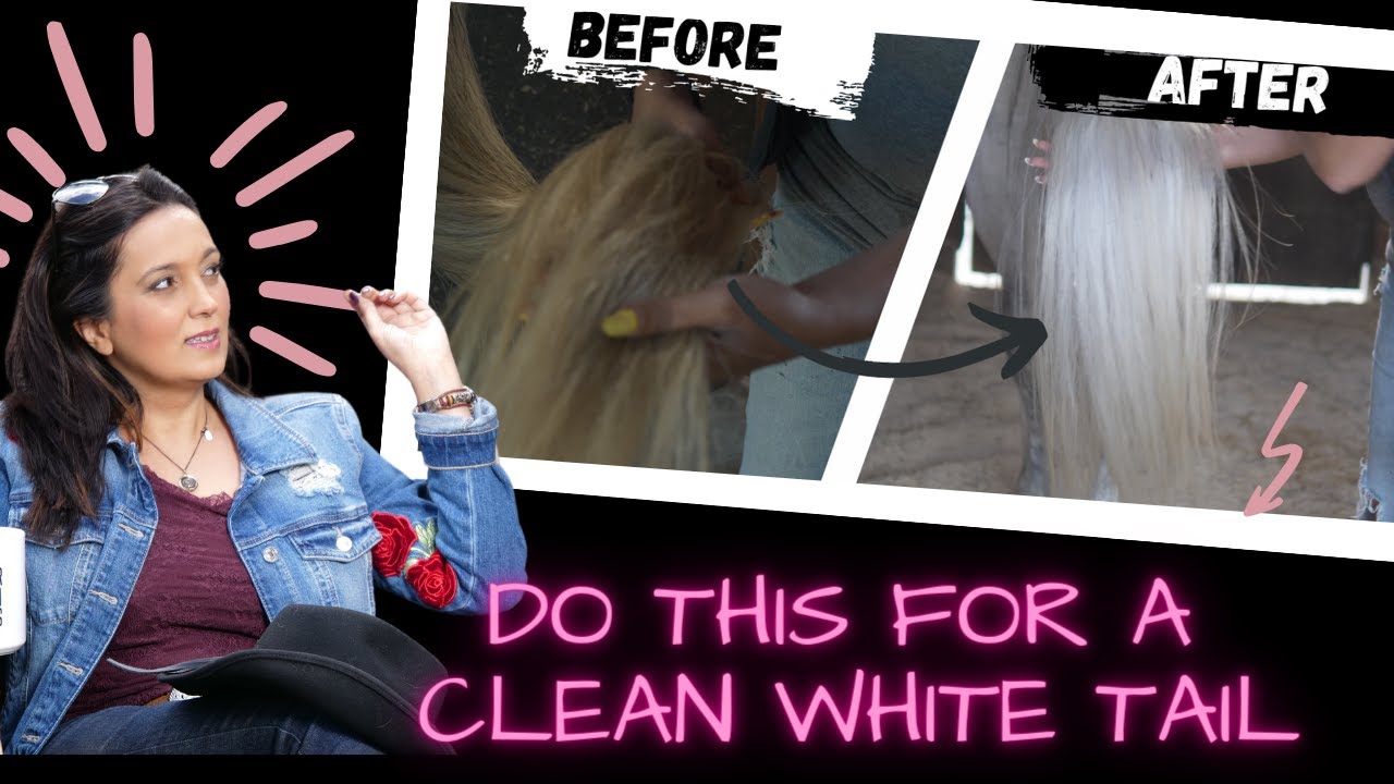 How I Get My Grey Horse's Tail Nice and White