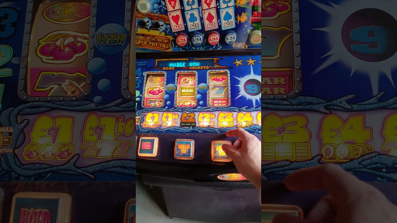 Vivid Card Shark £25 MPU5 Walkaround and Gameplay Fruit Machine