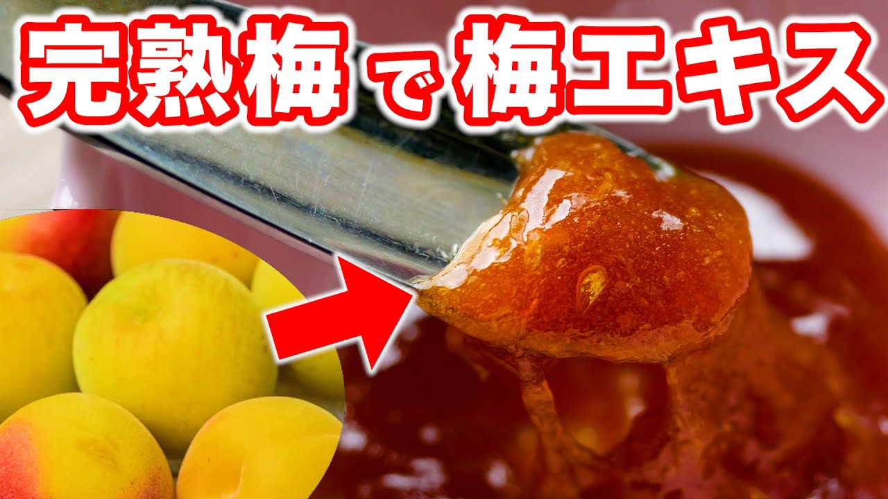 【梅仕事】完熟梅で超食べやすい梅エキスの作り方。毎日の健康習慣に！