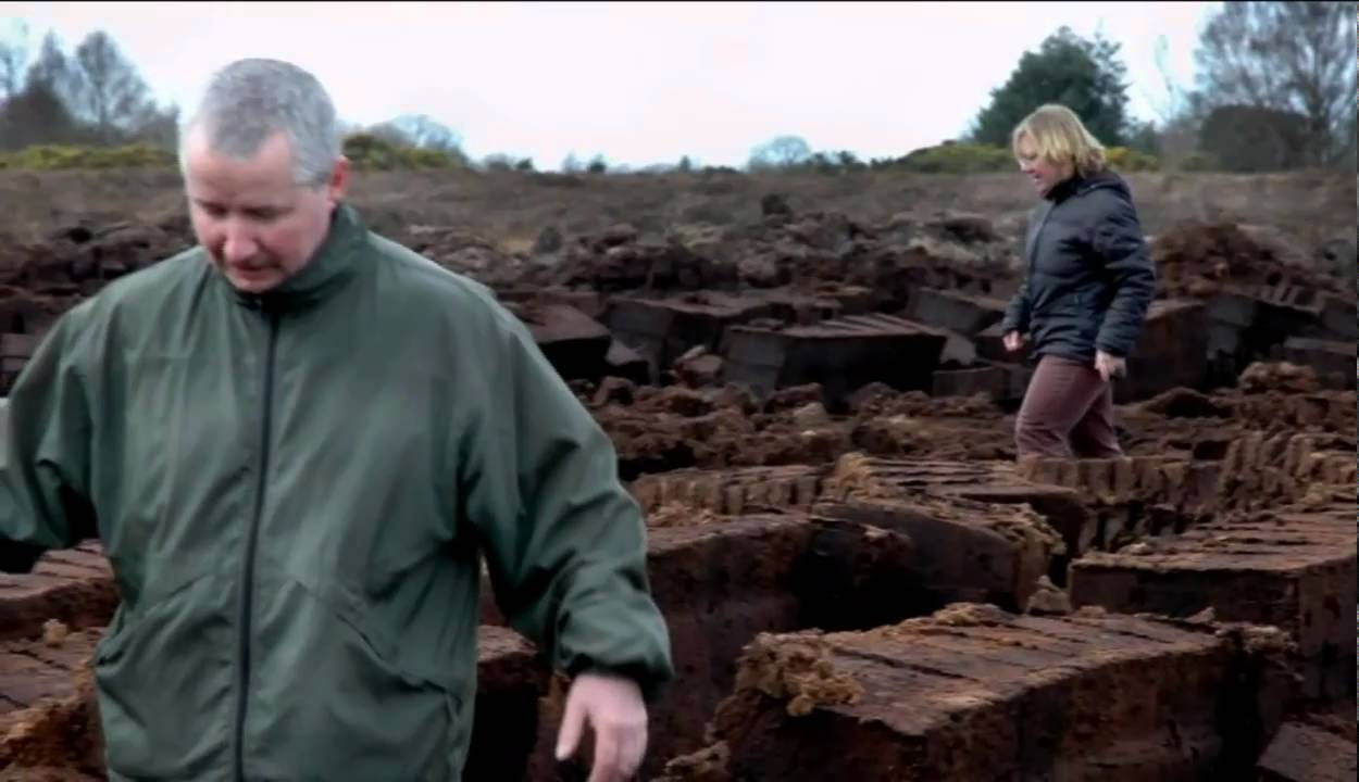 A Trip to Edenderry (2005)