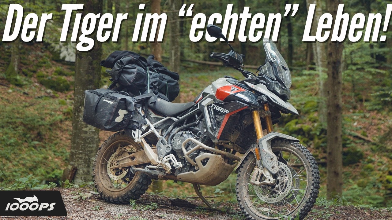 Zu schwer, zu lasch, oder genau richtig? - 1200 km Offroad-Reise mit der Triumph Tiger 900 Rally Pro