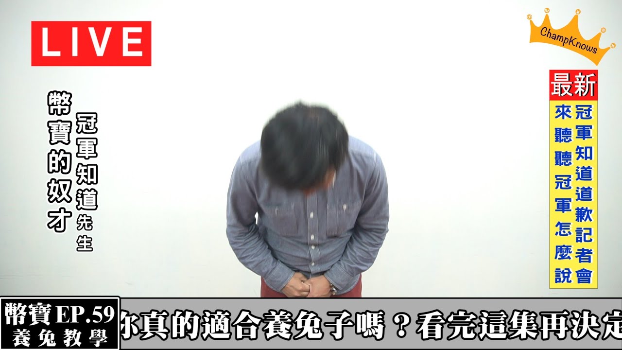 你真的適合養兔子嗎？看完這集再決定吧！千萬不要衝動養兔呀！｜兔子喜歡我的手指｜幣寶養兔教學系列 EP 59｜ChampKnows【冠軍知道】