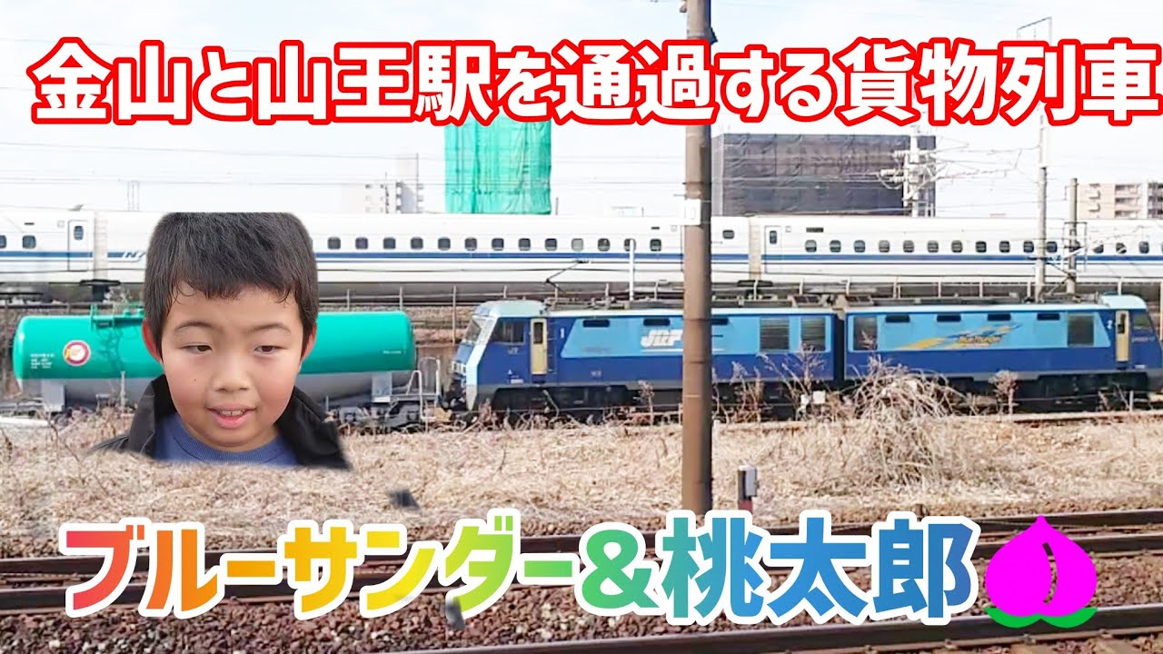 金山と山王駅を通過する貨物列車&新幹線&しらさぎ 久しぶりのブルーサンダー😁