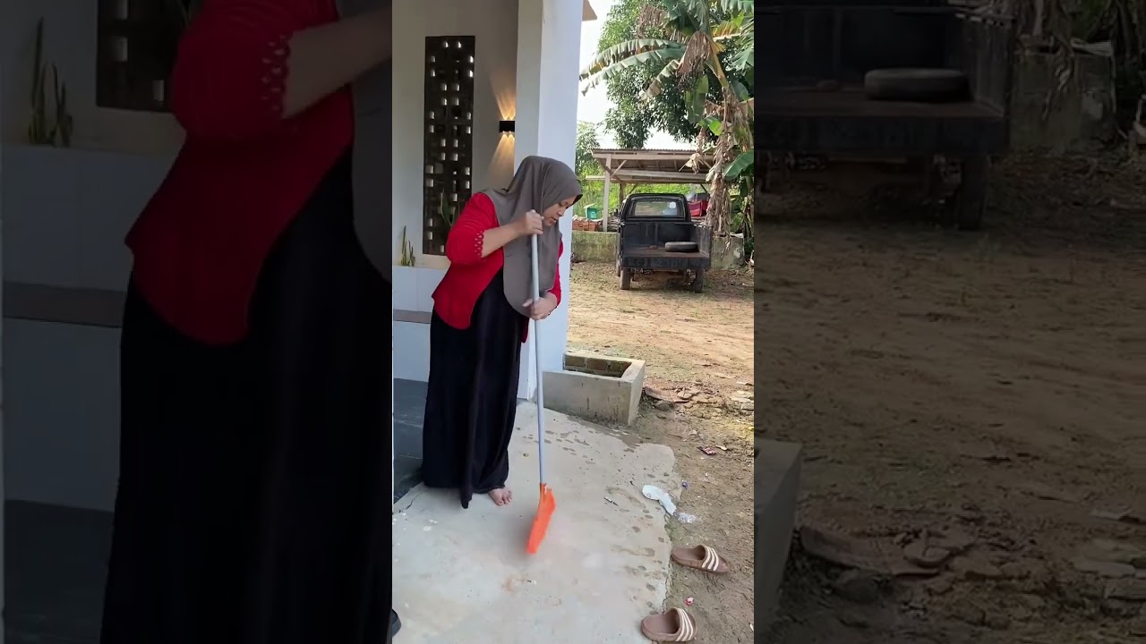 Survei kebun pohon karet yang baru kita beli