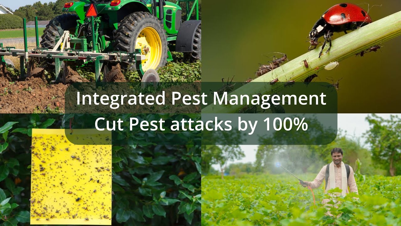 How Integrated Pest Management Revolutionizes Farming !!