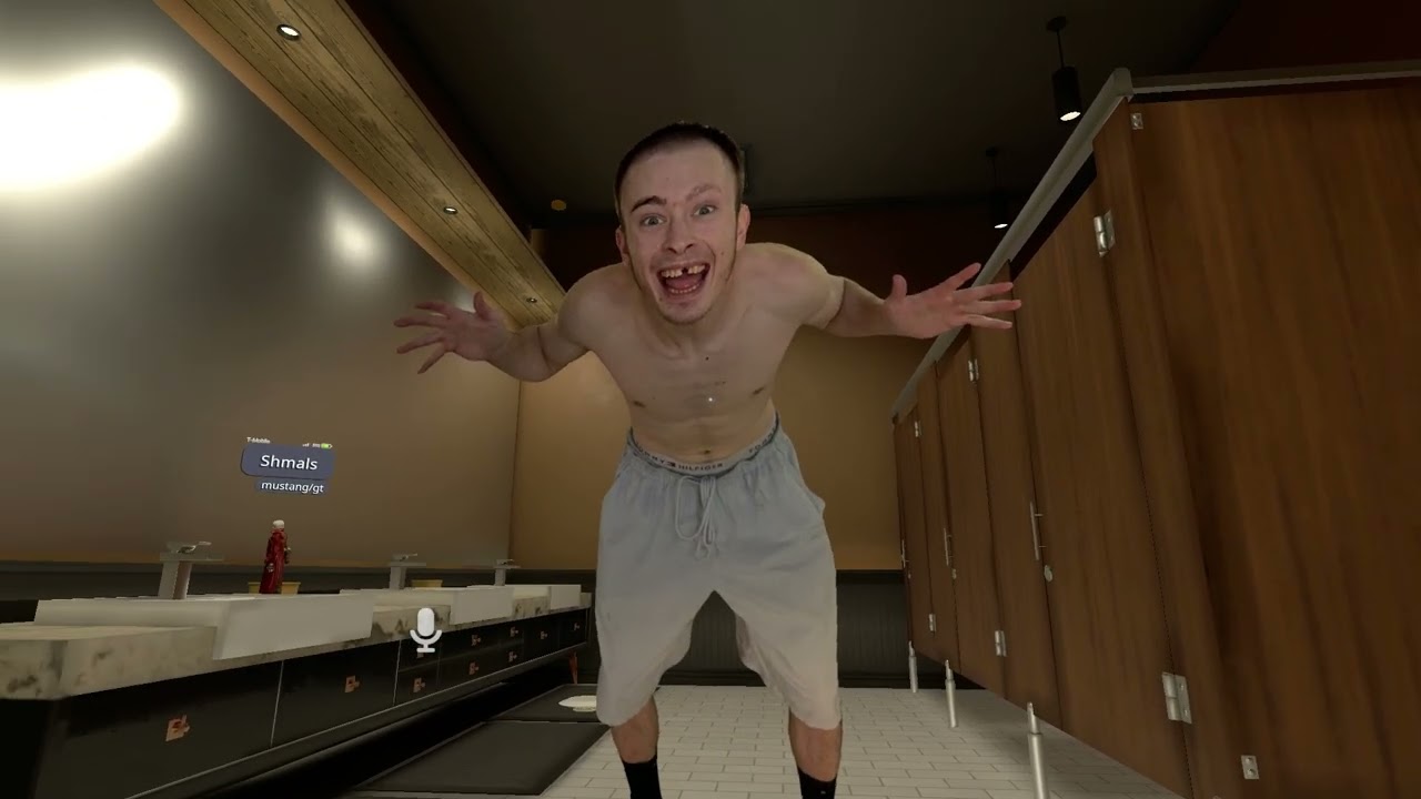 VRCHAT GOT A LIL CRAZY