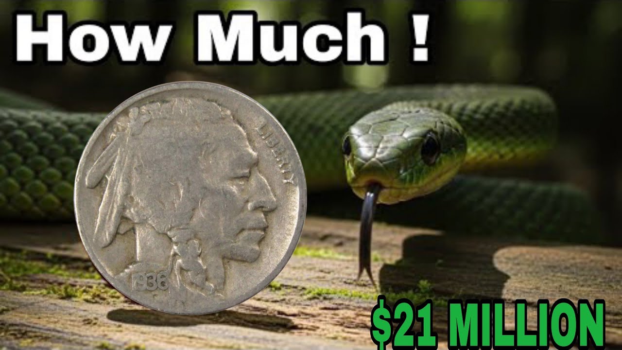 Why the 1936 Buffalo Nickel Is So Valuable 🔥 Rare U.S. Coins Worth Thousands