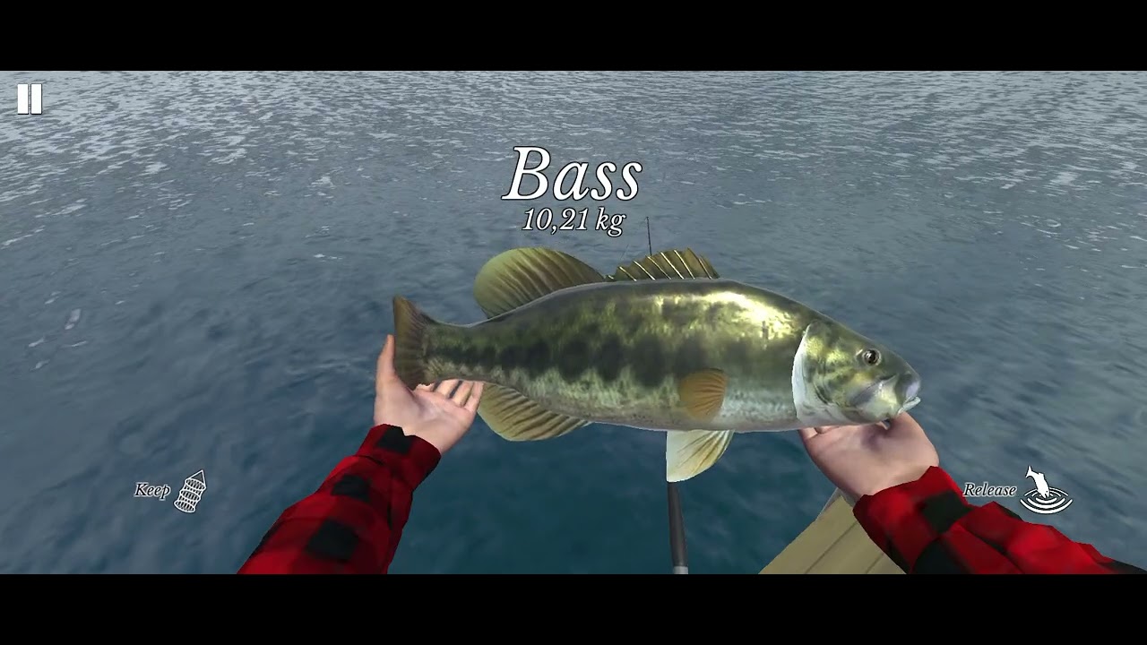 Spot ikan monster