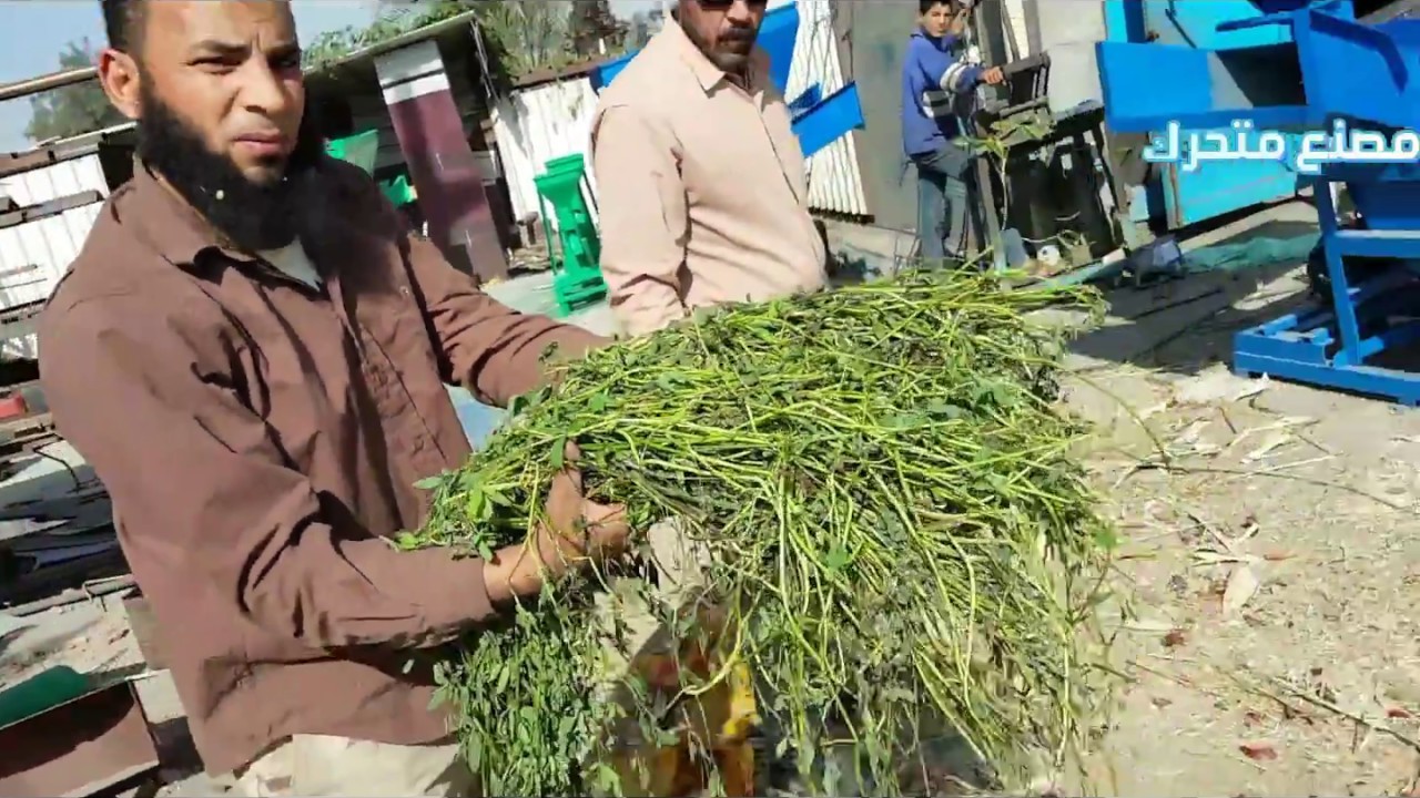 اقوي ماكينه لفرم البرسيم الحجازي