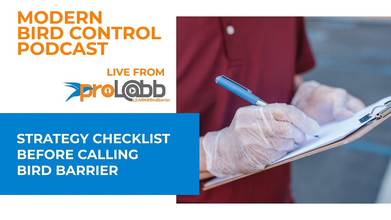 Modern Bird Control Podcast: Episode - Strategy Checklist Before Calling Bird Barrier