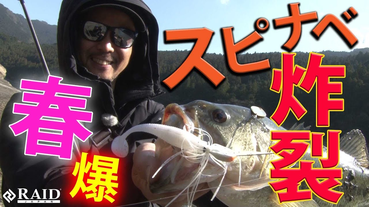早春スピナべ炸裂!!(モンスター出現!!)[金森隆志]