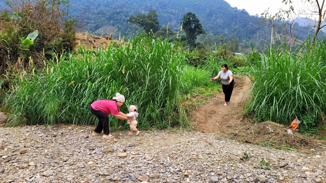Builds Paved Path Leading to House, Cruel Woman Comes to Search for Her Son