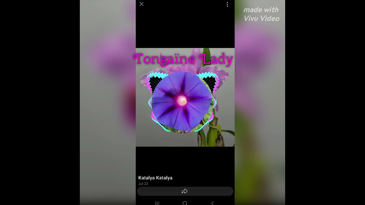 Tongaïne Lady(jokermax Prod.)