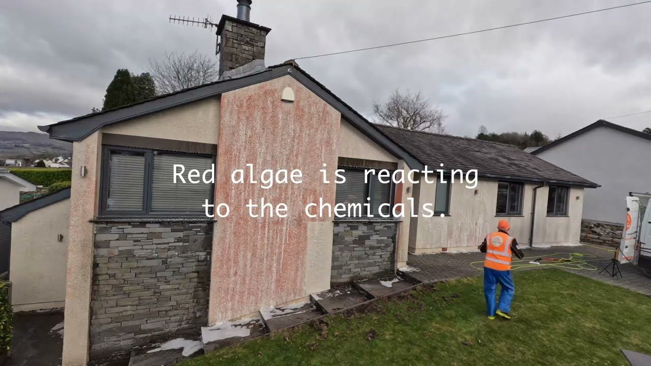 The SECRET To Cleaning Pebble Dash Walls!