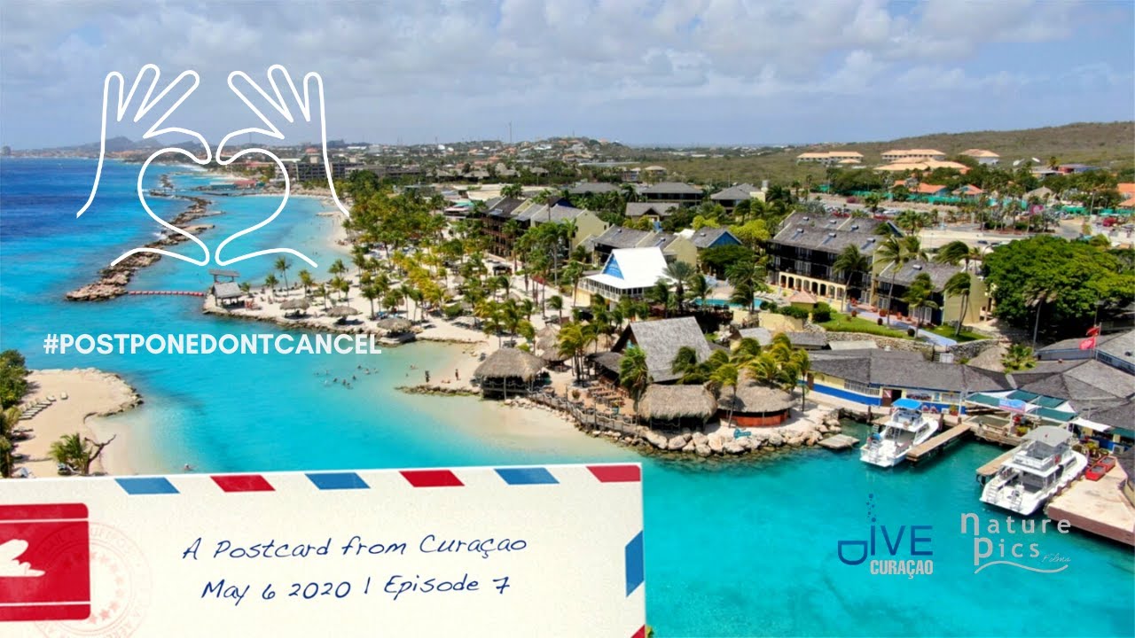 LionsDive Beach Resort Curaçao - A Postcard from Curacao | May 6, 2020 - Episode 7