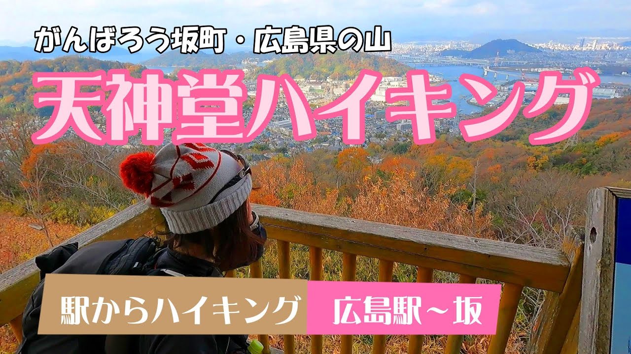 【天神堂】で初心者さんにも優しい山登り！広島県安芸郡坂町にある【天神堂】と【山本】を登ってきました。天神堂2025.12.14.　#広島県の山 #カリンバ初心者