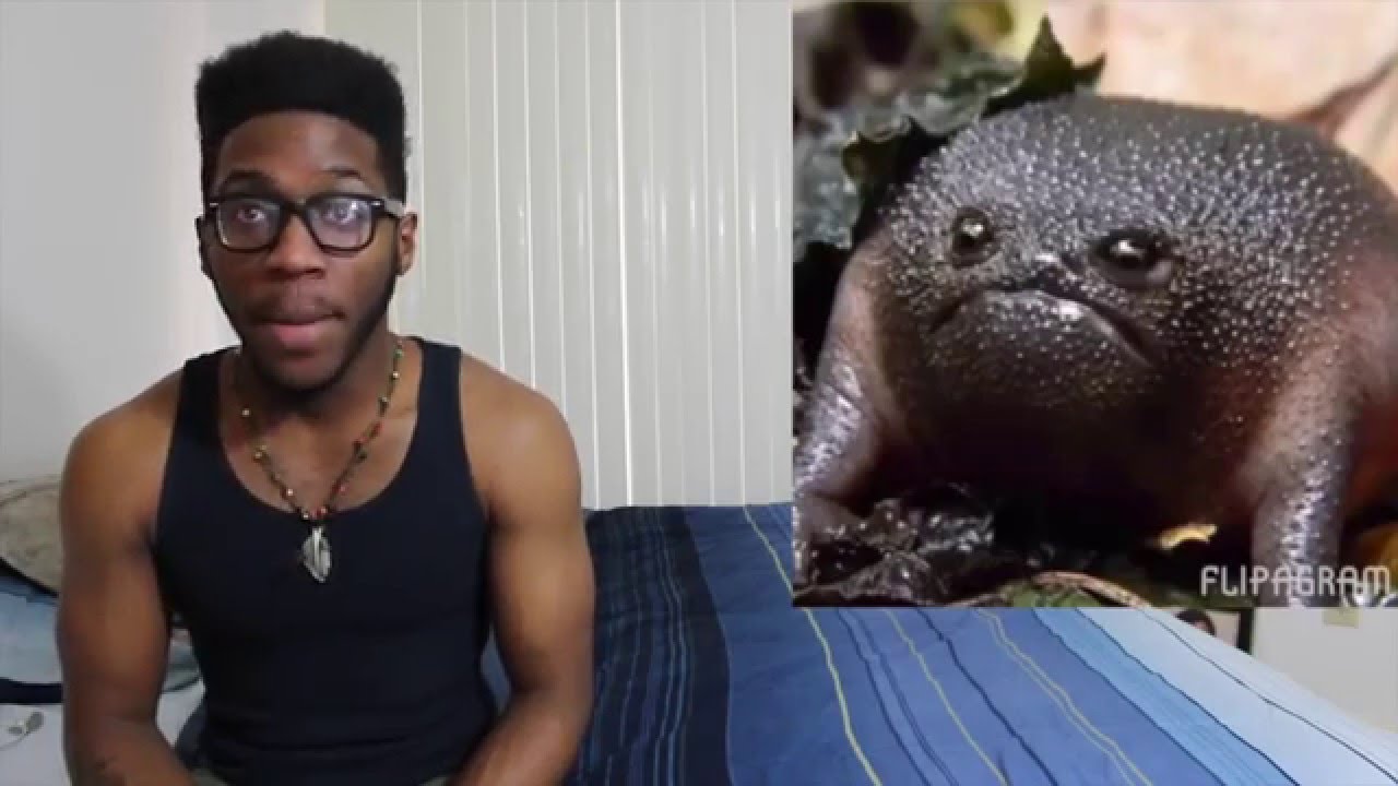 Funny Flipagram Roast Compilation REACTION!!!!