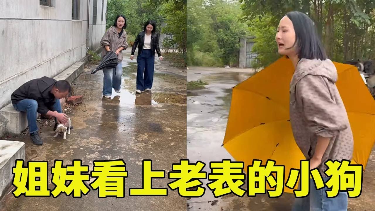俩姐妹看上了老表的小狗，于是两人想到一个办法，联合作战#爆笑来袭 😂😂