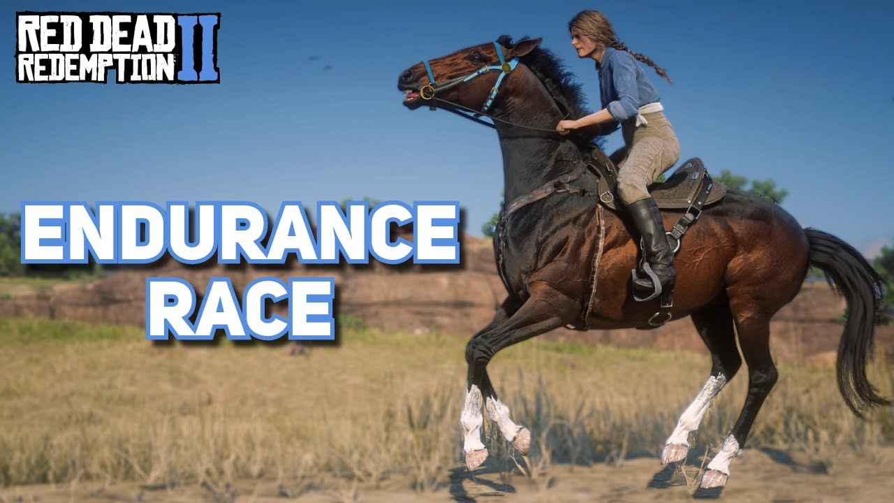 ENDURANCE HORSE RACE (Helmet Cam) - Red Dead Redemption 2 Roleplay | Pinehaven