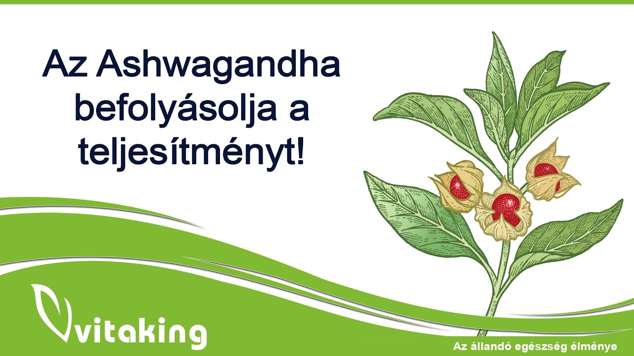 Ashwagandha: hatással van a szellemi és fizikai teljesítményre!