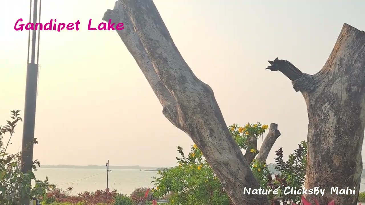 Gandipet Lake #gandipetlake #osmansagar #hyderabad #nature #naturelovers#lake 