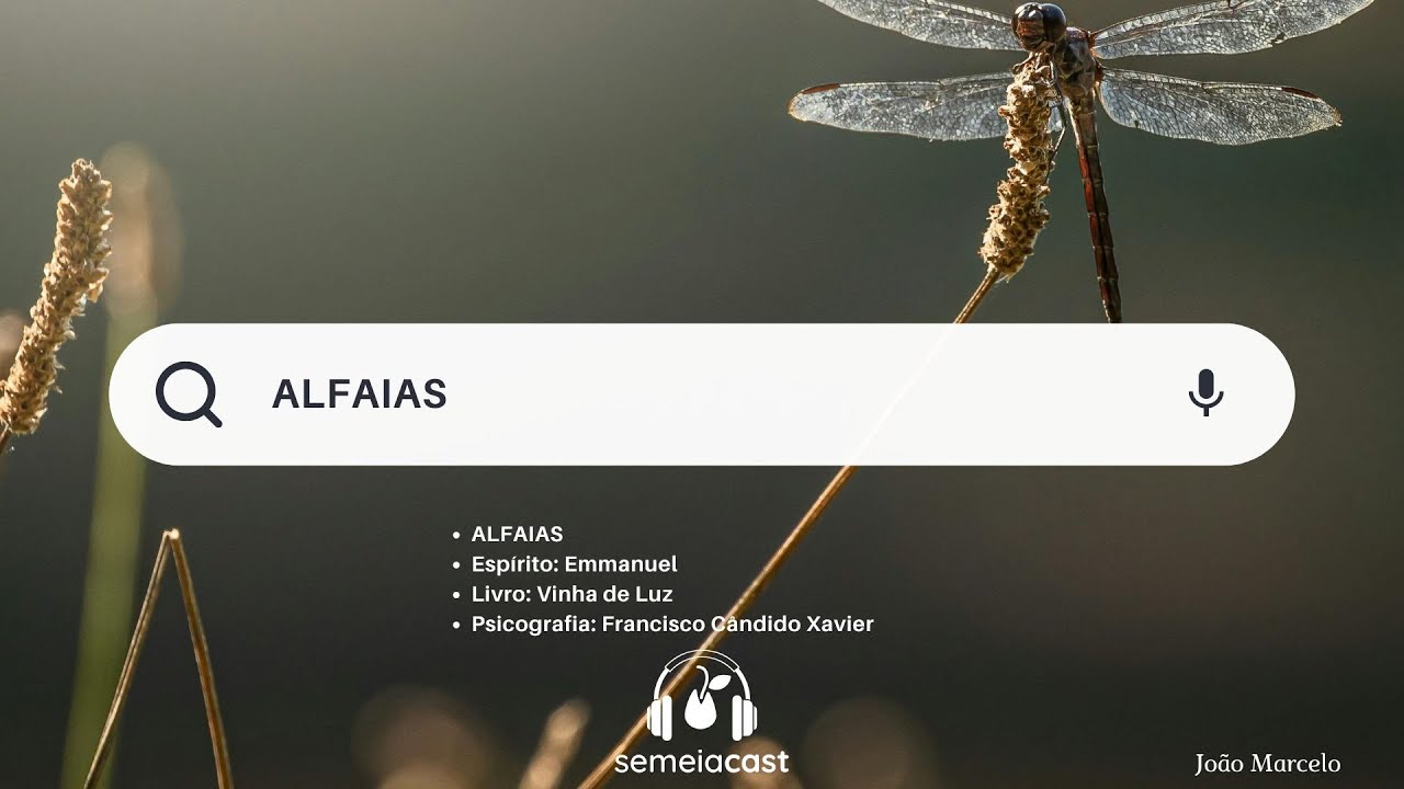 Espiritismo e Meditação | ALFAIAS - Espírito: Emmanuel