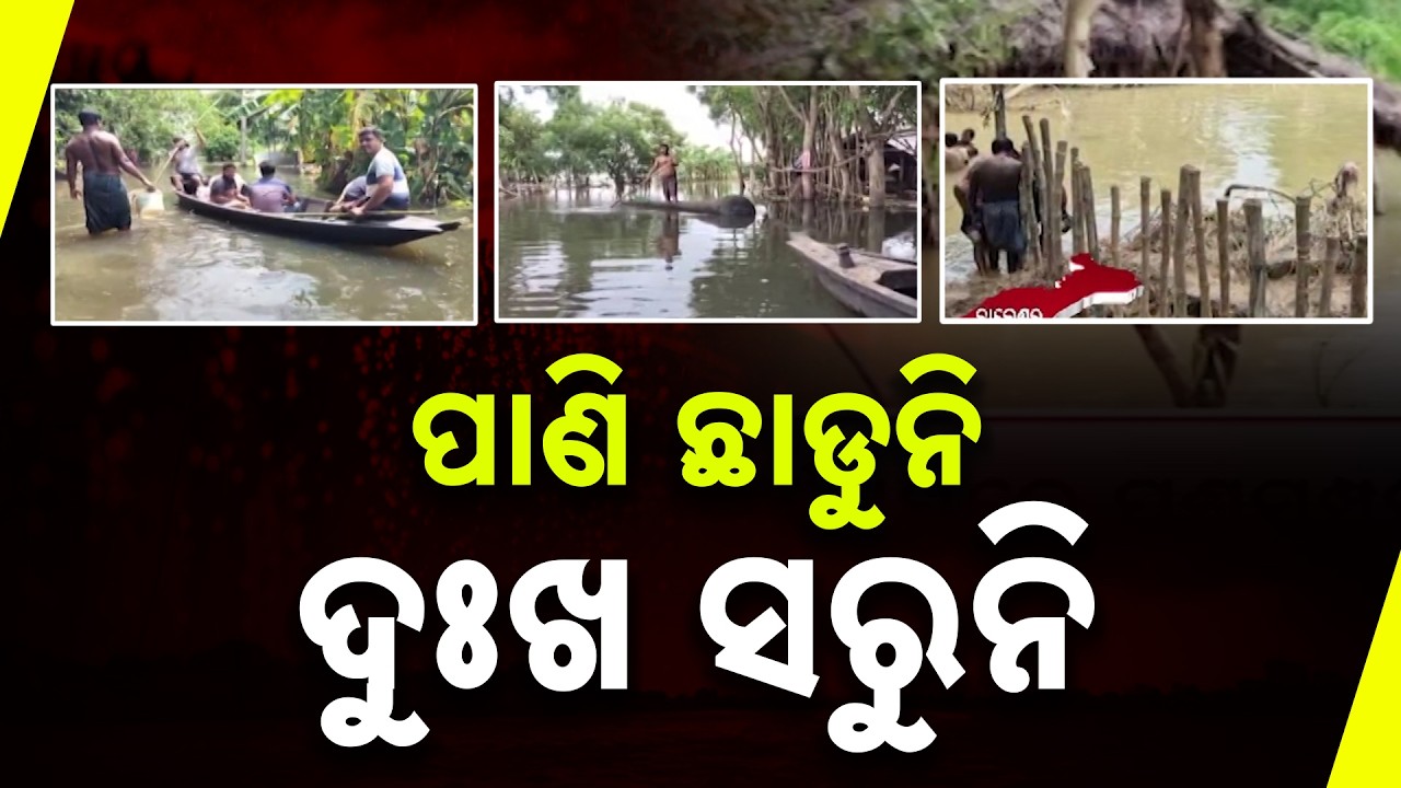 ପାଣି ଛାଡୁନି, ଦୁଃଖ ସରୁନି | Odisha Flood | Floodwater Still Stagnant, Normal Life Disrupted