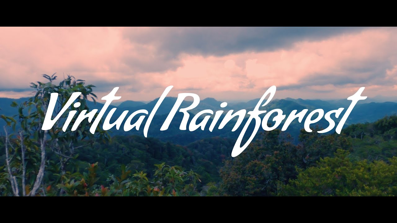 Virtual Rainforest - Sinharaja | Cinematic Nature Film | Sri Lanka | GoPro