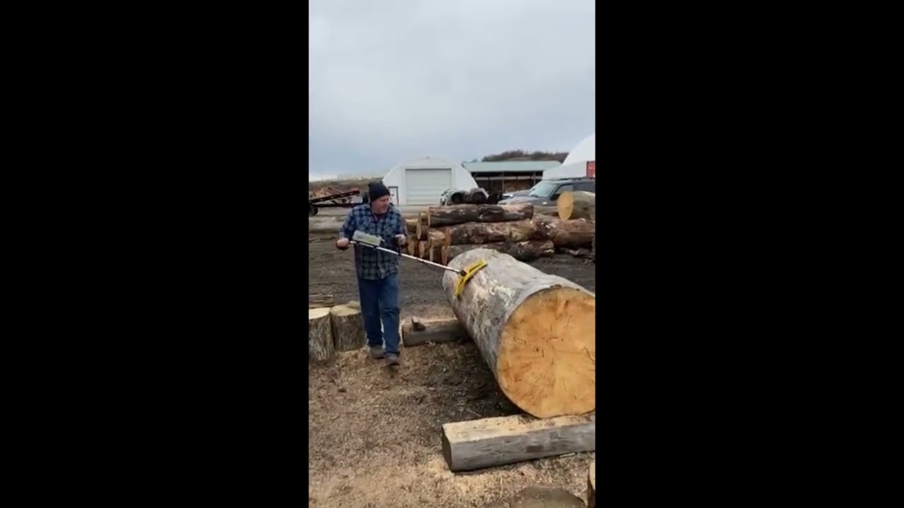 metal detecting a 36 inch round white pine log # shorts