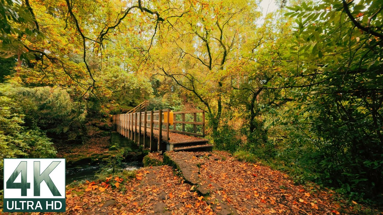 Autumn Walk Through Clare Glens Blue | 4K ASMR Nature Sounds | Dreamwalker