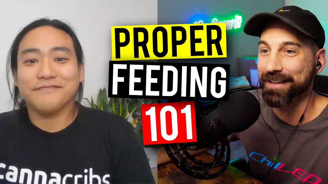 Правильное питание растений на протяжении всей их жизни! (Garden Talk #95)