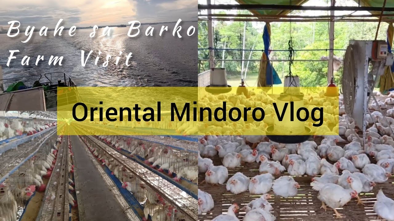 Oriental Mindoro Adventure - Byahe sa Barko at Farm Visit