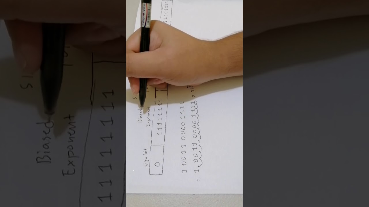 Single Precision Floating Point Binary Number