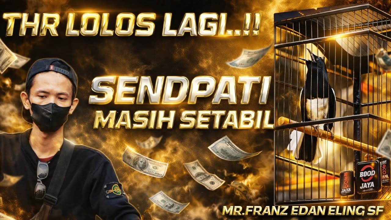GEBYAR THR BABON BC 🏆 SENOPATI MASIH SETABIL JUARA🔸MR.FRANZ EDAN ELING SF