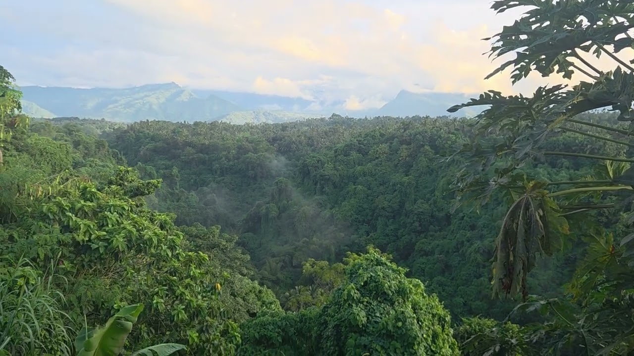 Another beautiful view from Bali.