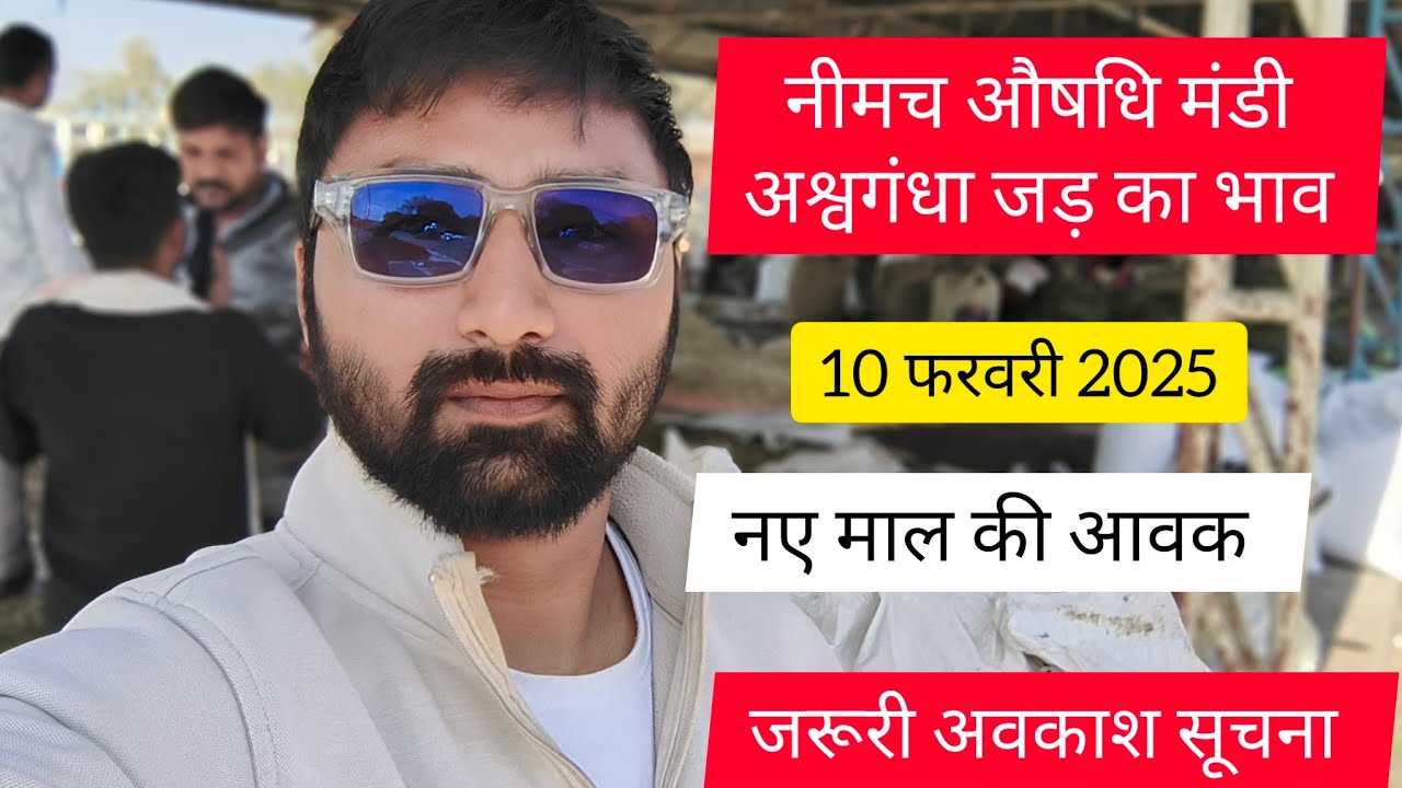 Ashwagandha Root Mandi Bhav | 10th February 2025 | Daily market update | Neemuch Mandi bhav