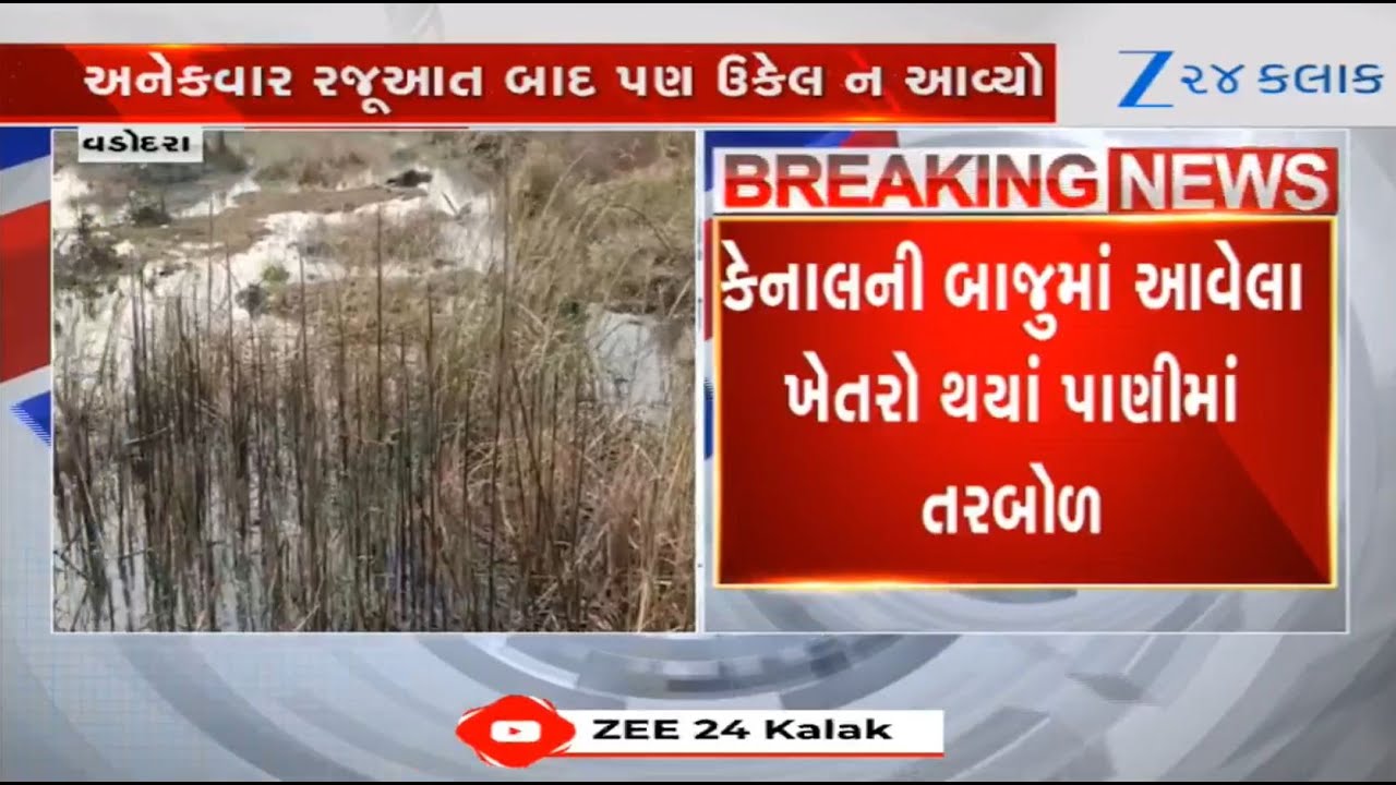 Gujarat: Farmers face huge crop loss as Narmada Nigam's canal overflows in Vadodara's Waghodia
