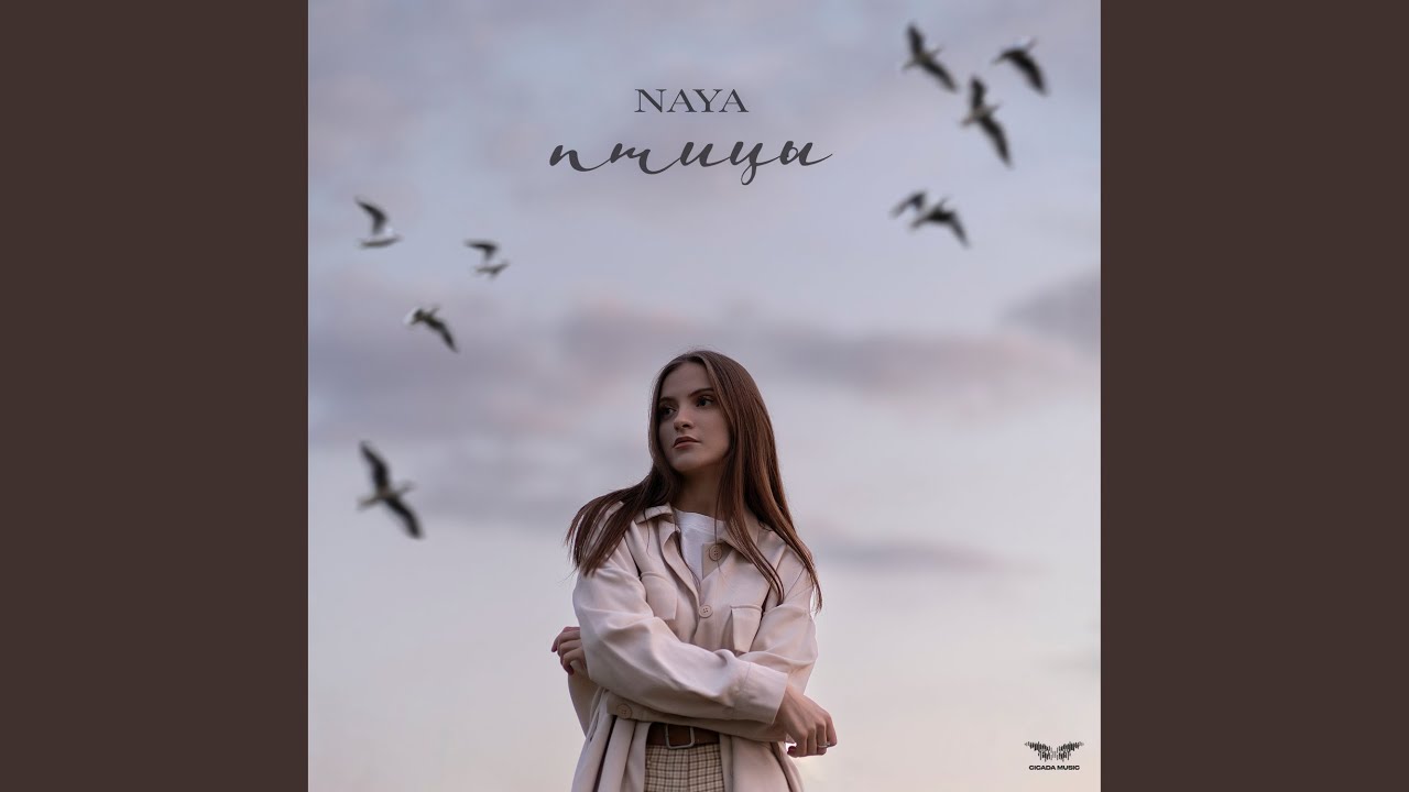Птицы