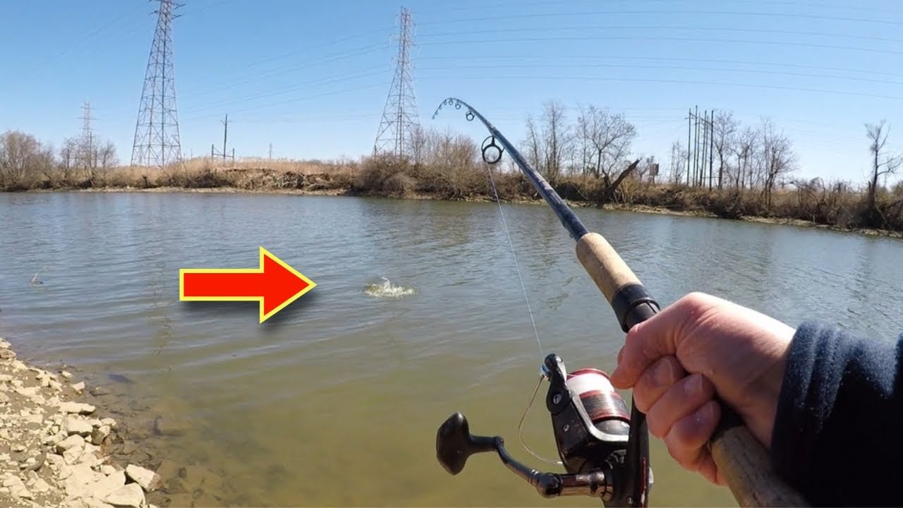 EXPERIENCE the CARP Fight (Carp Fishing Delaware)