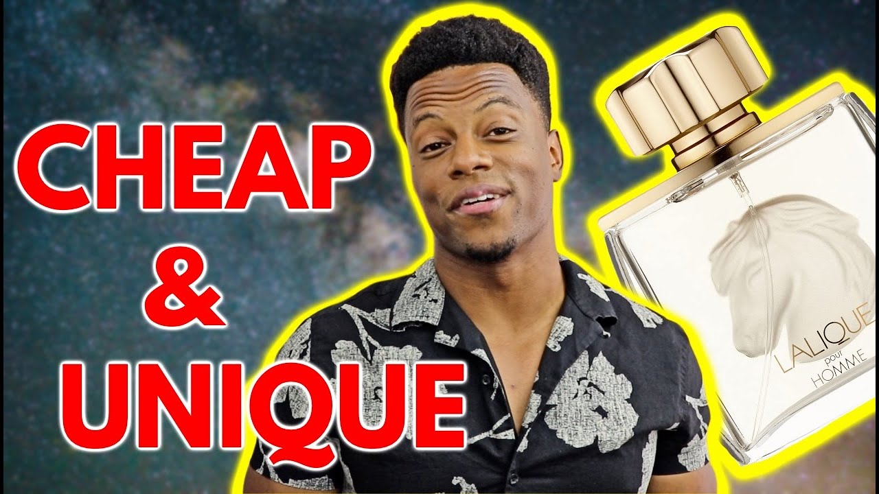 5 Most Unique & INEXPENSIVE Fragrances!