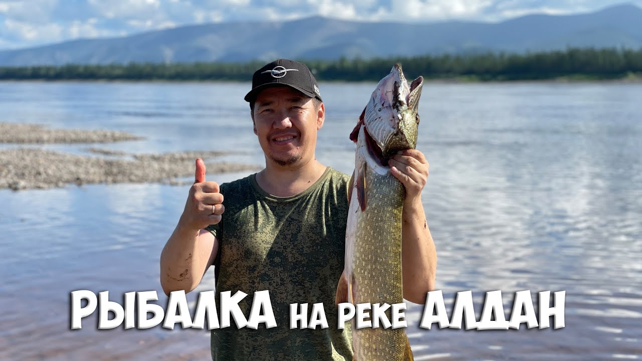 Рыбалка на реке Алдан. Поймали много щук