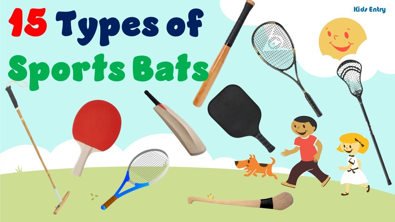 Types of Sports Bats| Sports Bats| Varieties of Sports bats | bats collection - Kids Entry