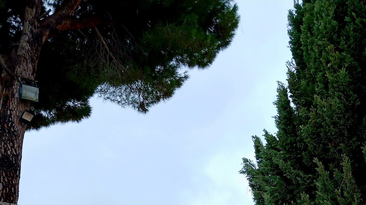 Zed Media || ዜድ ሚዲያ  is liveእንዴት አደራችሁ ቤተሰብ