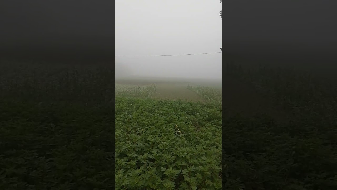 winter season on bihar