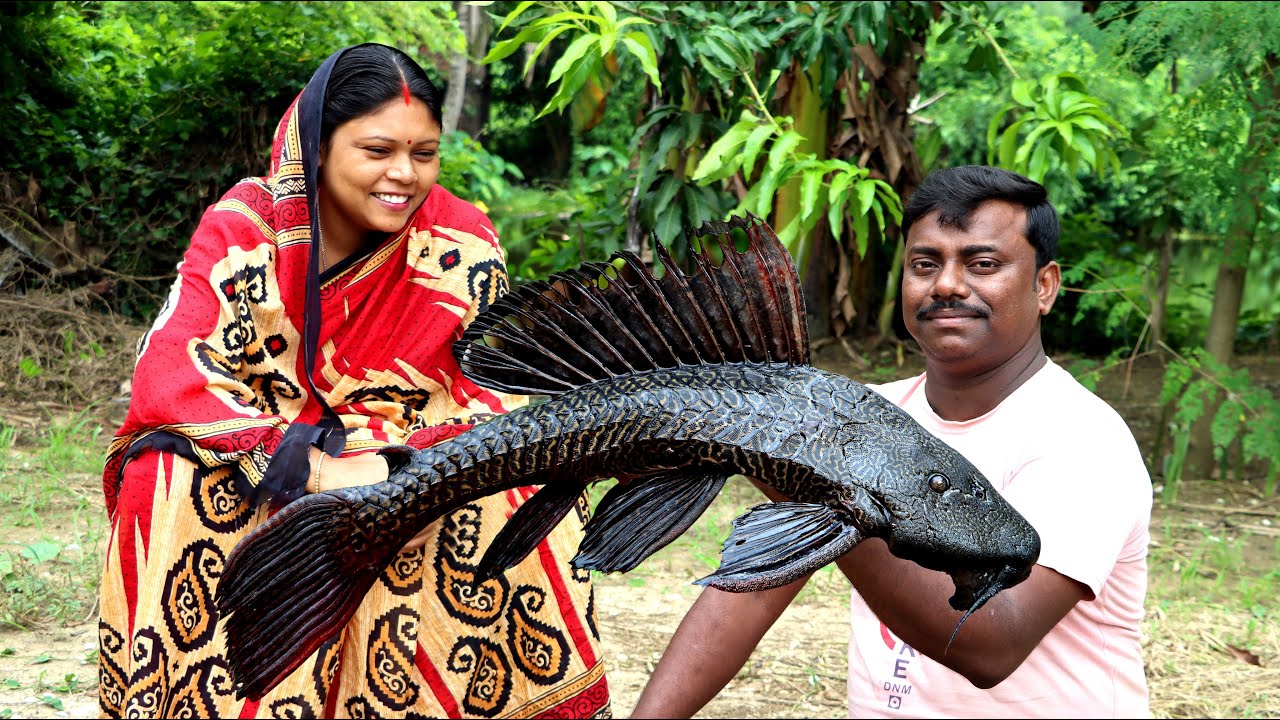 প্রথম এই মাছ আমাদের বাড়িতে রান্না হলো /  Kargil Fish cutting & cooking process