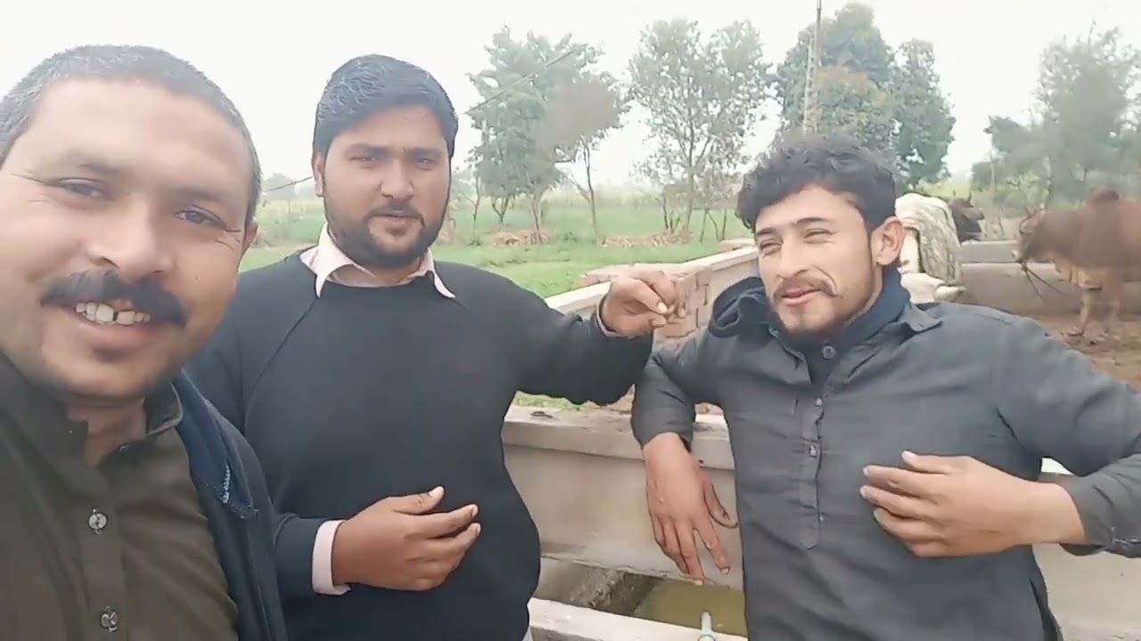 Aaj menu bahut dinon bad Shaadi ki sawari Mili