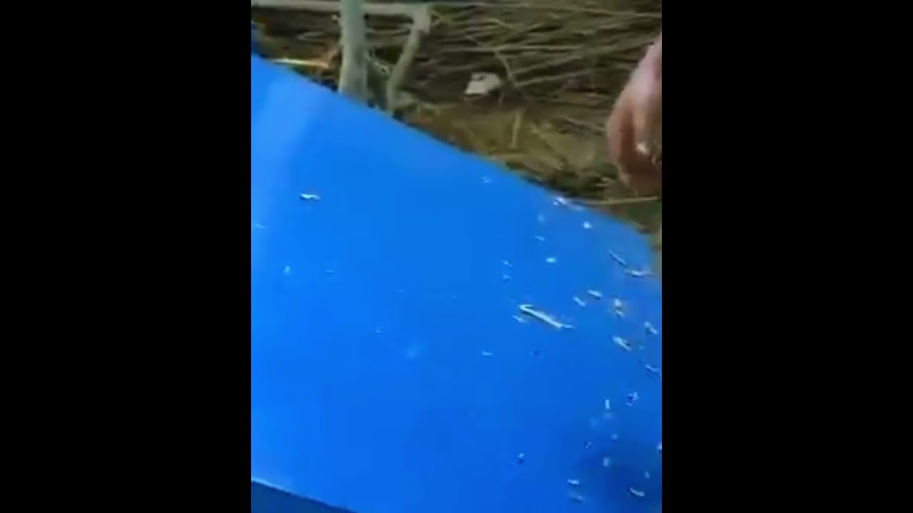 Hemp Fiber Processing in China