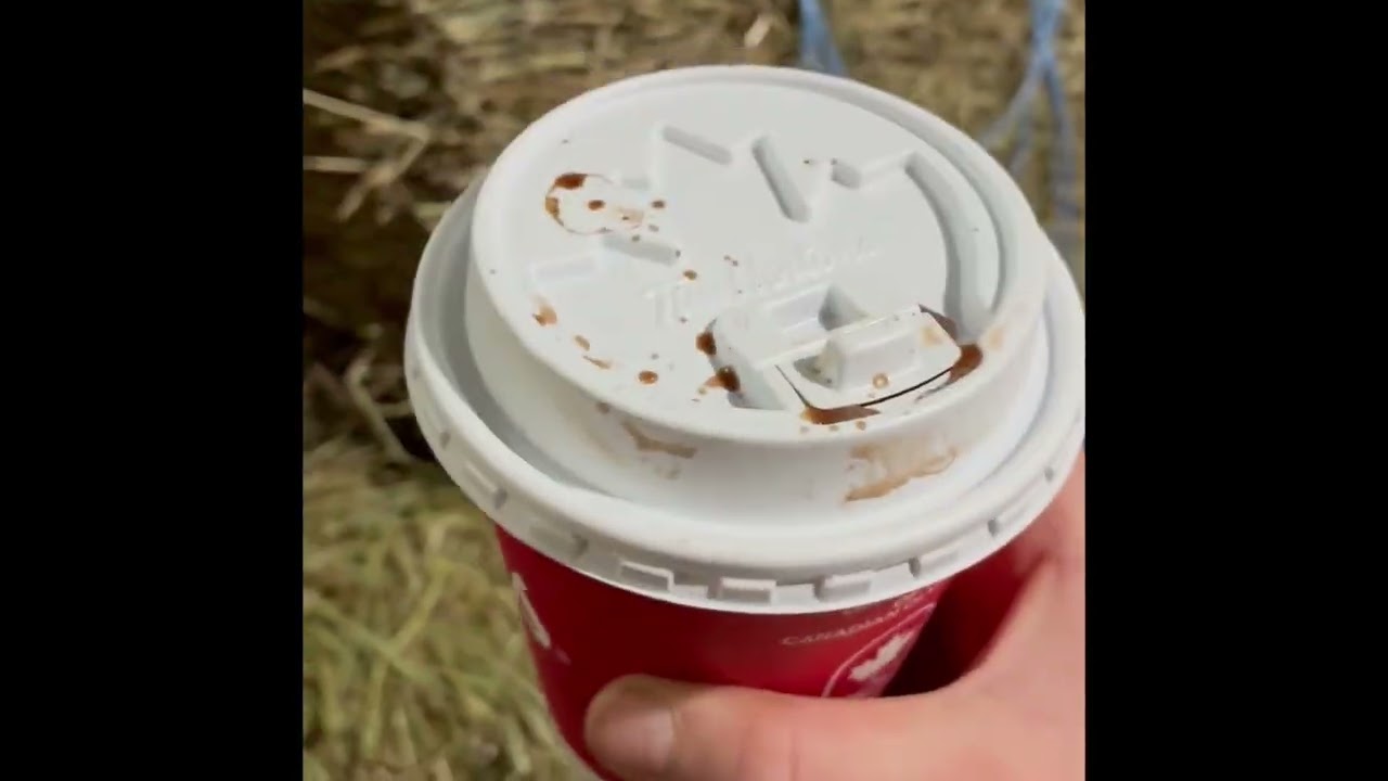 BARN VLOG+home routine!!! #horse #foryou #fyp #equestrianjourney #riding 